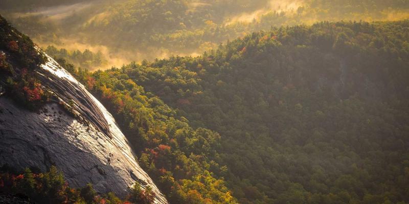 APP后端架构设计指南：微服务、Serverless与传统架构如何选择