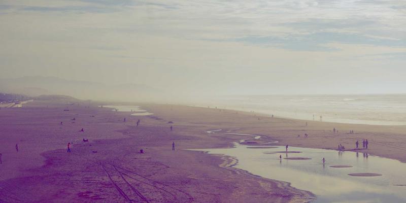 APP开发2024：安卓原生与跨平台开发的战略抉择