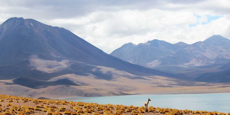 APP开发24：移动应用、软件开发与安卓开发的深度解析