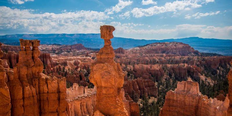 APP开发全攻略：安卓、iOS与跨平台开发的战略选择