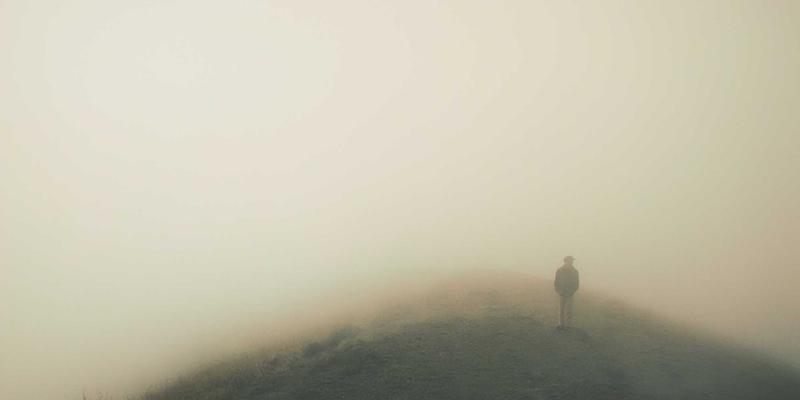 React Native与Flutter深度对比：2024年跨平台APP开发选型指南