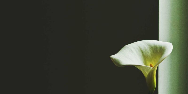 SwiftUI与Jetpack Compose深度对比：重塑iOS与Android应用开发的新范式