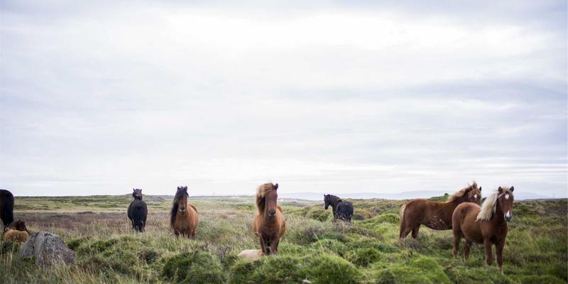iOS与Android应用商店ASO优化全攻略：提升APP自然下载量的核心策略