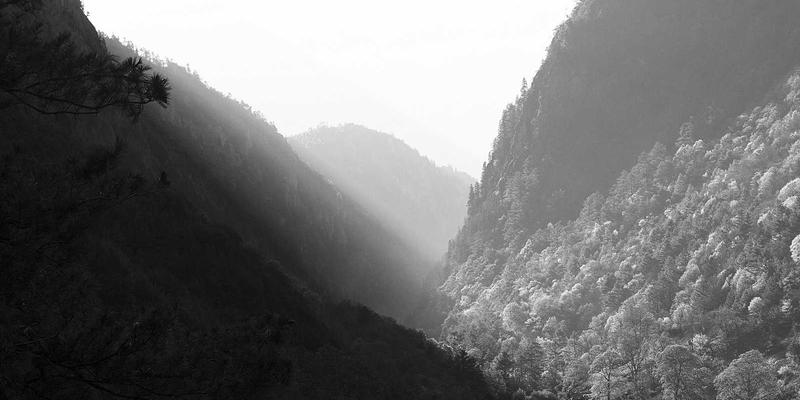 iOS开发与安卓开发必知：混合应用Bridge通信原理深度解析与性能优化实战