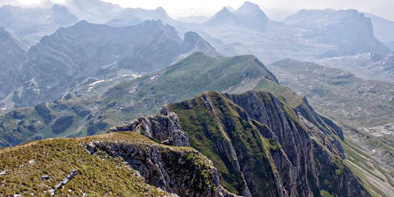 iOS开发指南：如何为你的移动应用制定MVP策略，快速验证市场与用户需求