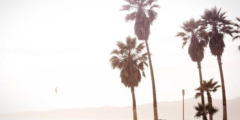 应用开发中的无障碍设计：打造包容性移动应用与麦克应用的准则与最佳实践