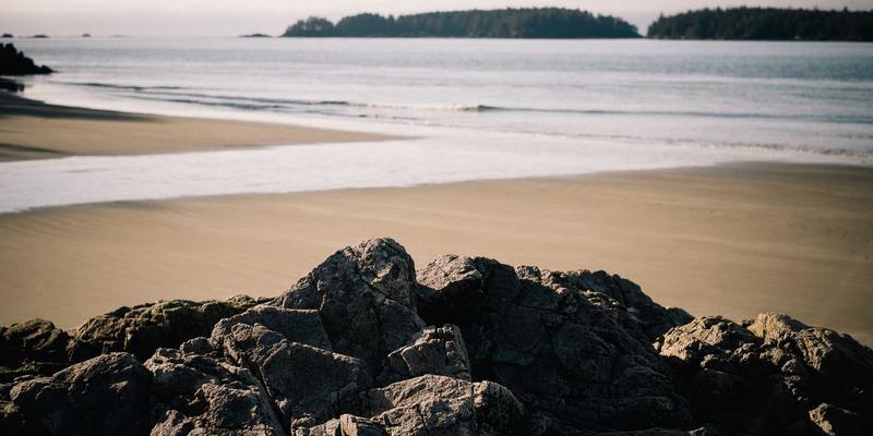 移动应用成功第一步：APP图标设计与ASO优化如何提升搜索排名与下载转化率