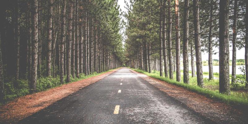 移动应用无障碍开发：为所有用户打造包容性体验的设计与实现