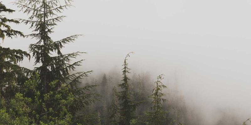 移动应用架构设计模式实战解析：MVC、MVVM与Clean Architecture在APP开发中的抉择